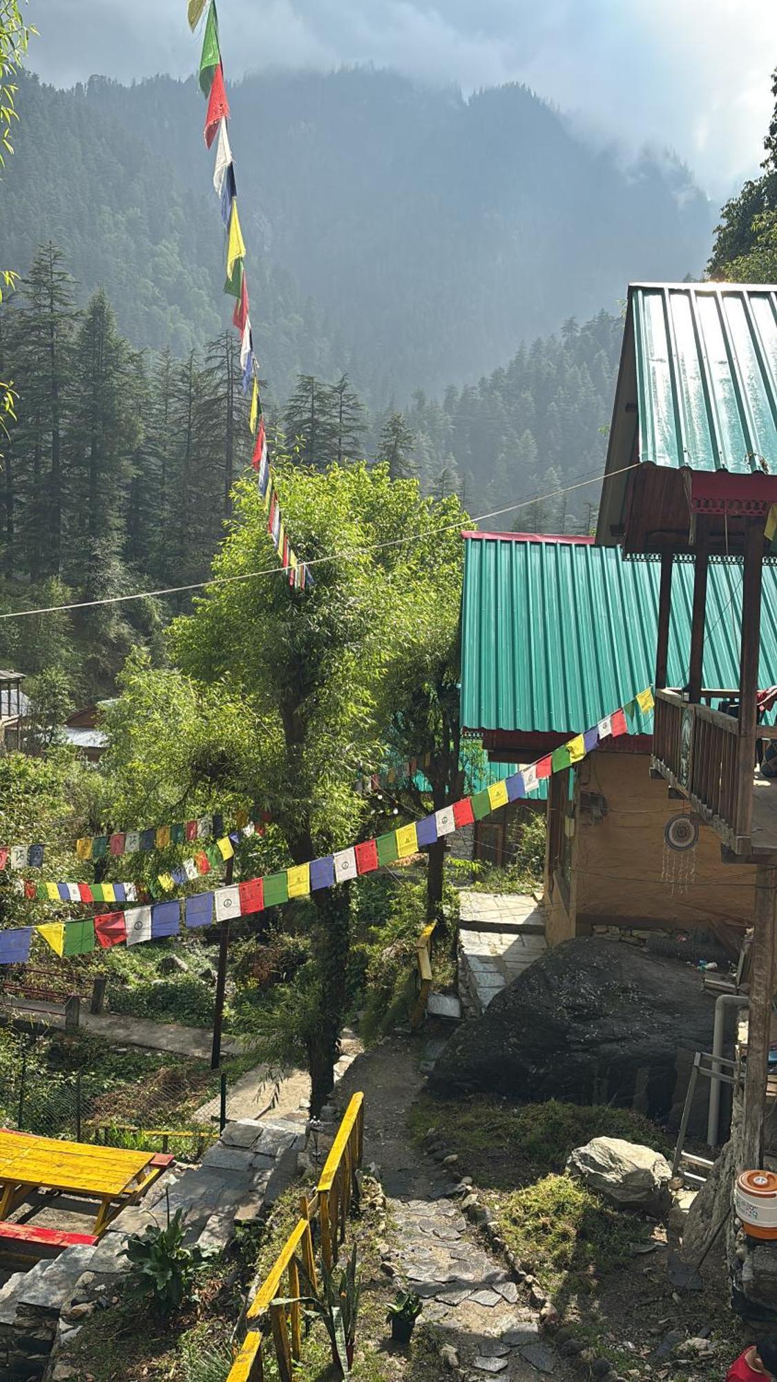 The Cozy Cabin, Jibhi Banjar Exterior photo