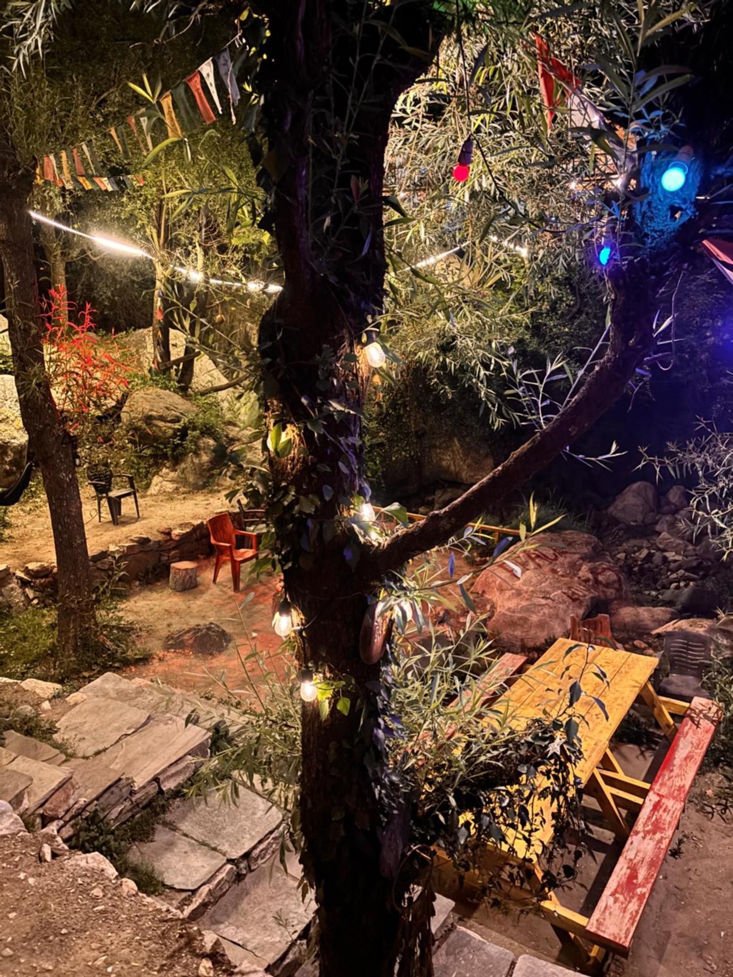 The Cozy Cabin, Jibhi Banjar Exterior photo